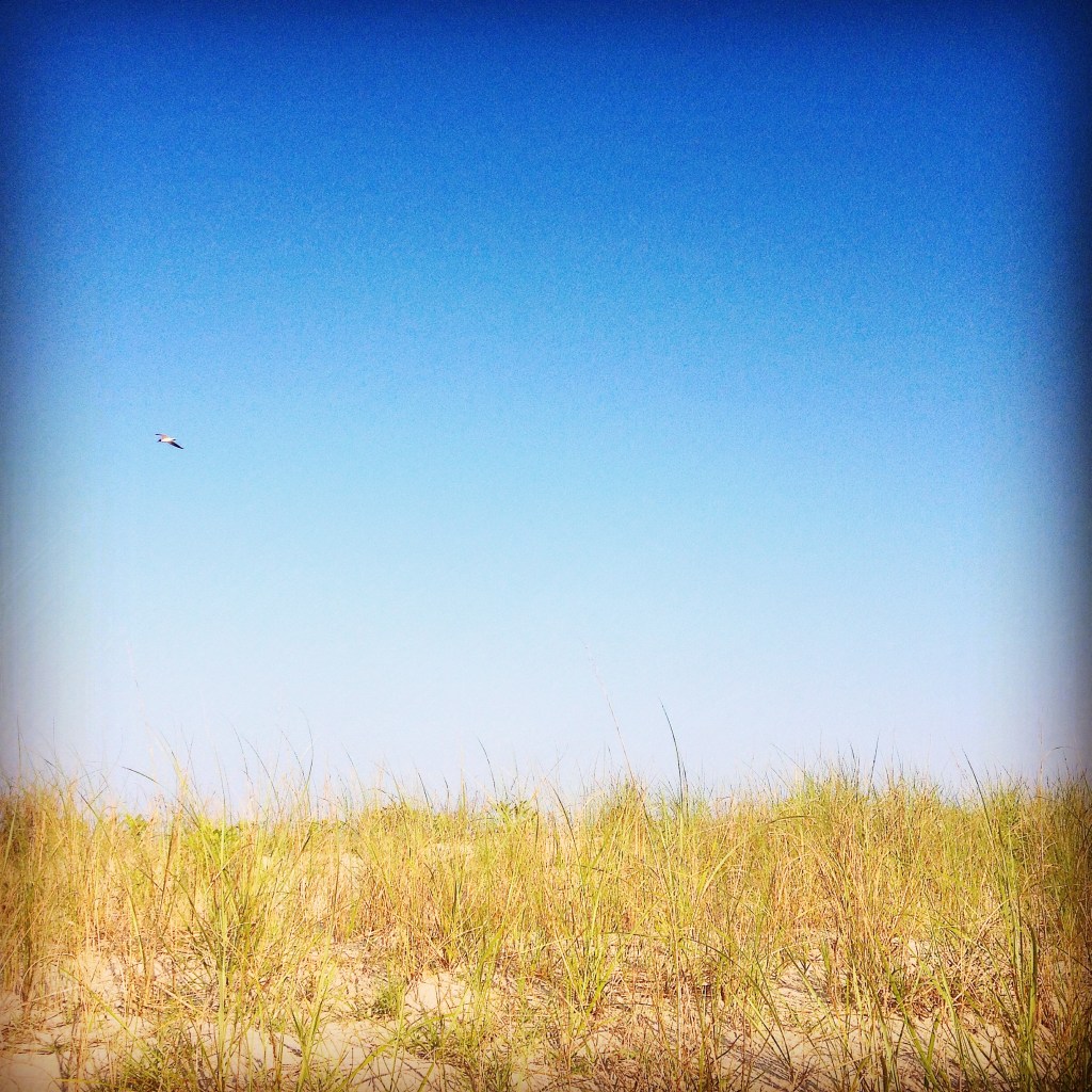 Summer Instagram post