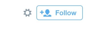 Twitter follow button